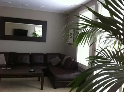 a living room with a brown leather couch and a palm tree at Laguna Condo w/ Pool/Jacuzzi and Attached Garage in Laguna Niguel