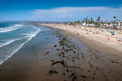 a beach with a lot of people and the ocean at Modern 1 BR Apt - Walk to Ocean & Cafes in San Diego