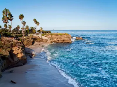 an aerial view of a beach with palm trees and the ocean at La Jolla Windansea Luxury Cottage in San Diego