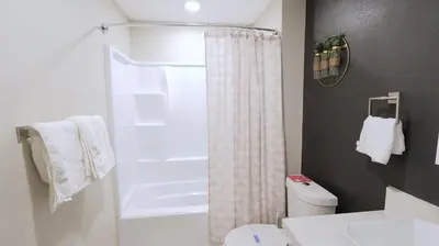 a white bathroom with a shower and a toilet at Gillespie 2bed 1 bath 1063 by SD Stay in Spring Valley