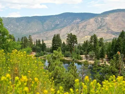 a river with trees and mountains in the background at Chic Studio Suite Serene Backyard in Heart of SD in San Diego