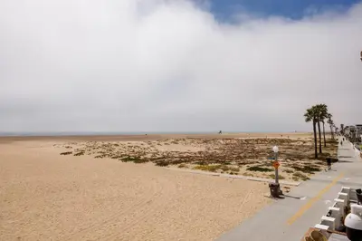a sandy beach with palm trees and a sidewalk at 204 E Oceanfront B in Newport Beach