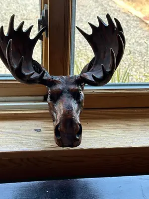 a head of a moose with antlers on a window at Sunset-Ridge in Alpine