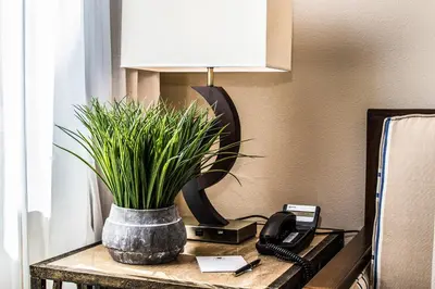 a table with a phone and a plant on it at Carter Estate Winery and Resort in Temecula