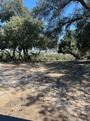 a field with trees and a dirt ground with trees at Stylish Country Cowboy Home with Hot Tub on 20 Acres in Borrego Springs