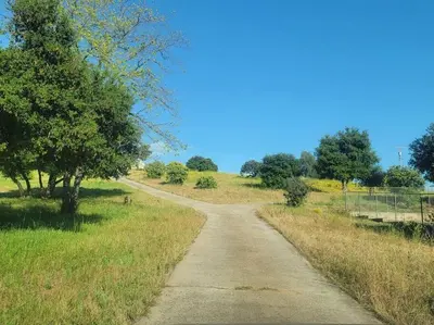 a dirt road in the middle of a field at Exotic Gem Relaxing Farm Vibes Near Safari Zoo, Legoland & Wineries in Escondido