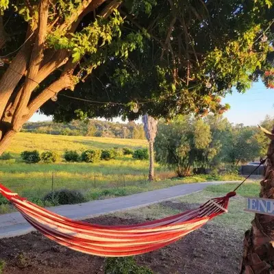 Exotic Gem Relaxing Farm Vibes Near Safari Zoo