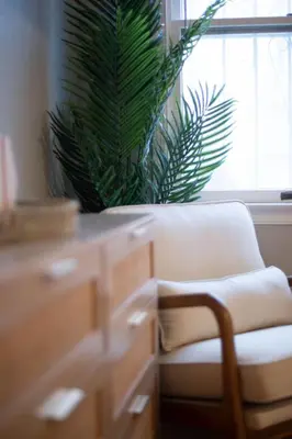 a chair and a plant in a room with a window at NEW! Pt Loma Paradise: Remodel - Pool – Game Room – WOW! in San Diego