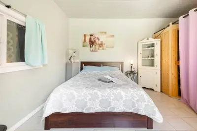 a bedroom with a bed with a white comforter at Pool Room - Entire Guest Suite - Private Entrance in San Diego