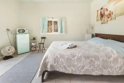 a bedroom with a large bed and a window at Pool Room - Entire Guest Suite - Private Entrance in San Diego
