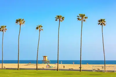 a group of palm trees on the beach at Condo in Newport Beach with Private Balcony and Ideal Location by the Pier in Newport Beach