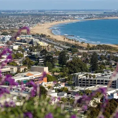 a view of a city and the beach with purple flowers at La Jolla Gem condo in San Diego
