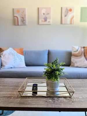 a glass tray with a plant on a coffee table at Calligraphy home with Private Deck near SDSU in San Diego