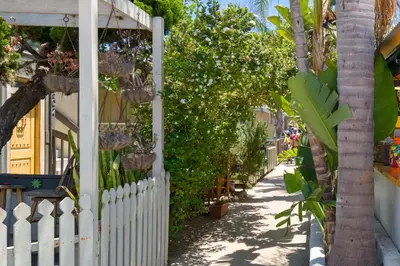 a white fence with plants and a palm tree at Sandy Toes in San Diego