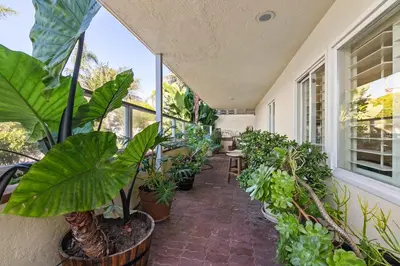 an indoor garden with plants and a patio at Oceanview Townhome Just Steps from Iconic Windansea Beach in San Diego