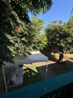 a garden with two trees and a white bench at Home away from Home in San Diego
