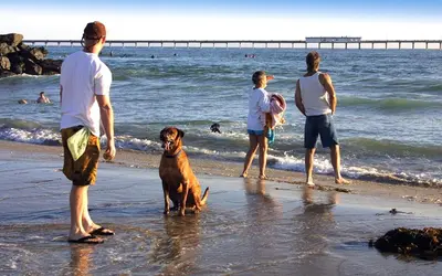 a group of people standing on the beach with a dog at Surf Cottage 1 in San Diego