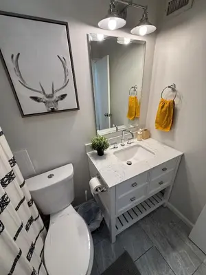 a bathroom with a toilet and a sink and a mirror at Heated pool, Sunny San Diego, Entire home, Free Parking, BBQ, Pets allowed, family neighborhood! in San Diego