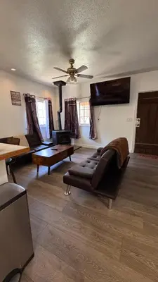 a living room with a couch and a fireplace at Cozy Mountain Guest house in Pine Valley