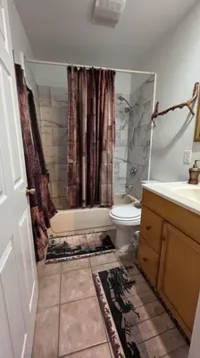 a bathroom with a shower and a toilet and a sink at Cozy Mountain Guest house in Pine Valley