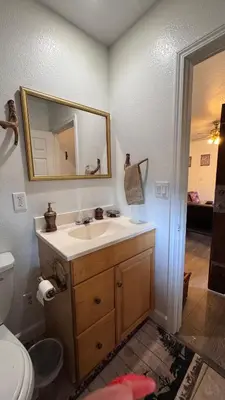 a bathroom with a sink and a toilet and a mirror at Cozy Mountain Guest house in Pine Valley