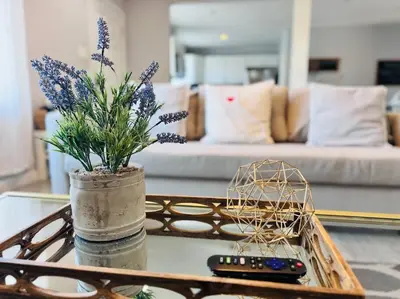 a coffee table with a remote control and a plant at Creative Haven Chic 3-Bedroom with Artistic Touches in San Diego