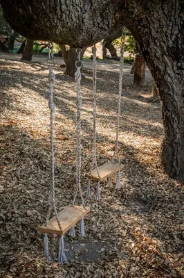 a swing in a tree with two seats at Historic Farmhouse on 5 Peaceful Acres with Ancient Oaks & Creek above Temecula in Temecula