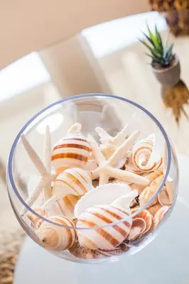 a bowl filled with shells and starfish on a table at Gorgeous Retreat Close to Beach and Downtown in San Clemente