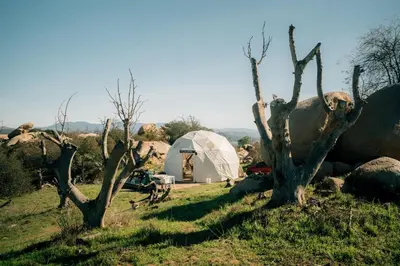 a white tent in a field with trees at A Cozy Fireside Glamping Escape with Ridge Views in Fallbrook