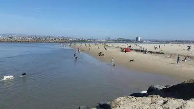 a group of people on a beach in the water at Surf Cottage 2 in San Diego