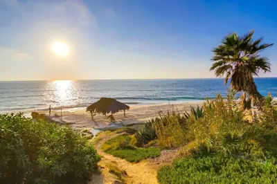 a beach with a straw umbrella and a palm tree at Marine Dream in San Diego
