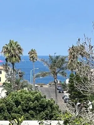 a view of a street with palm trees and the ocean at Coral Cottage in San Diego