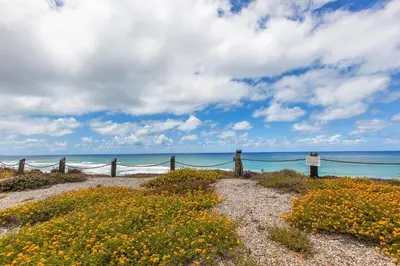 a fence on a beach with flowers and the ocean at Oceanfront Sea'batical - SBTC212 in Solana Beach