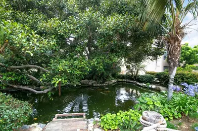 a pond in the middle of a garden at Adventure Awaits - SUR15 in Solana Beach