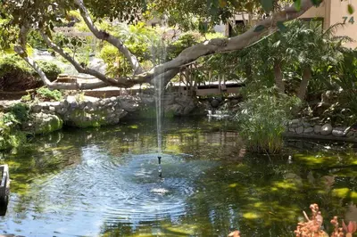a pond with a bird in the water with a fountain at Beach You To It! - SUR61 in Solana Beach