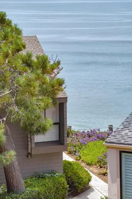 a house with a tree in front of the ocean at Casa Del Sol - SUR46 in Solana Beach