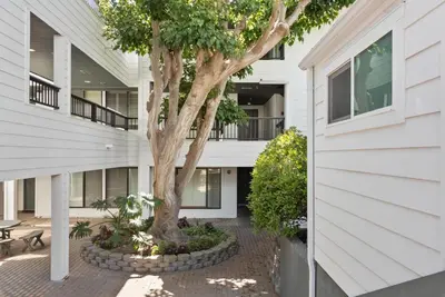 a tree in a courtyard next to a building at SandyToes-SunKist Nose-CHAT2 in Solana Beach