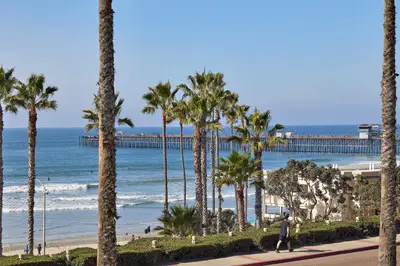 a beach with palm trees and a pier at Coastal Luxury with Panoramic Ocean View in Oceanside