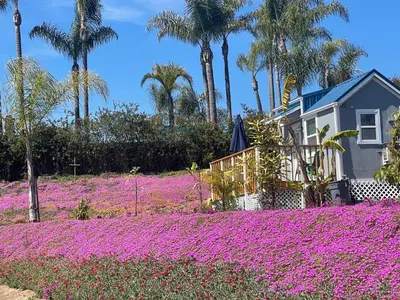 a house in a field of purple flowers at Tiny House on private large property in Vista