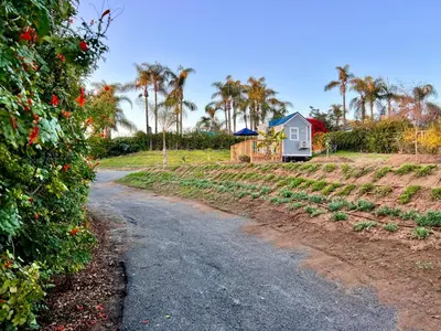 a dirt road with a house in the background at Tiny House on private large property in Vista