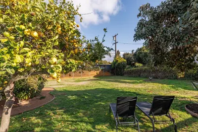 two chairs under an orange tree in a yard at ENC-1035 - Charming Coastal Cottage in Encinitas