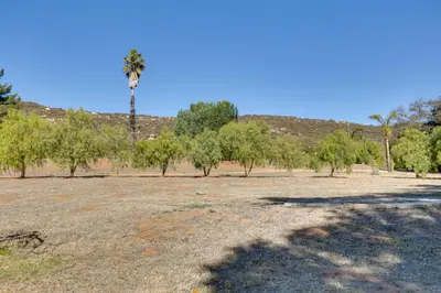 a large field with a palm tree and trees at 4 Mi to Lake Wohlford Cabin in Escondido in Valley Center