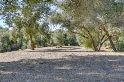 a dirt road with trees in a field at 5 Mi to Casino and Lake Home on Escondido Ranch! in Valley Center