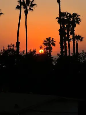 a sunset with palm trees and the sun at Close to Ocean and Beach in San Diego