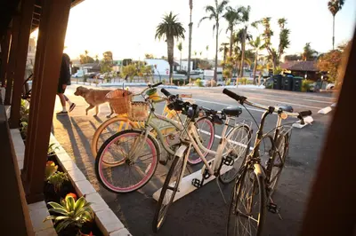 two bikes parked next to a street with a dog at West Coast Surf and Stay in San Clemente
