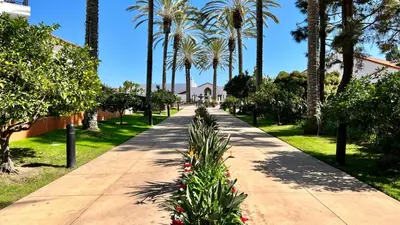 a sidewalk with palm trees and flowers in a park at 2003 Costa Del Mar Road - Unit 678 in Carlsbad