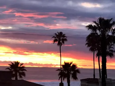a group of palm trees in front of a sunset at Near SoCal sports complex, Frontwave Arena-Sold in Oceanside