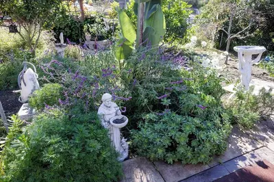 a garden with a statue and flowers and a bird bath at Near SoCal sports complex, Frontwave Arena-Sold in Oceanside