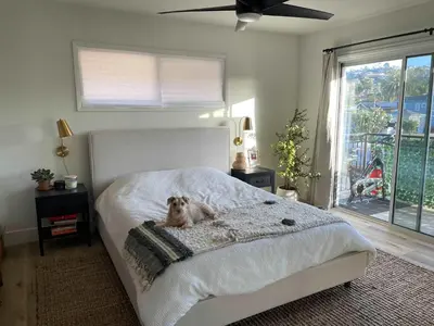 a dog laying on a bed in a bedroom at beachside condo in the heart of Bird Rock La Jolla in San Diego