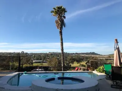 a palm tree and a swimming pool with a palm tree at Big Beautiful Master Bedroom in Bonita